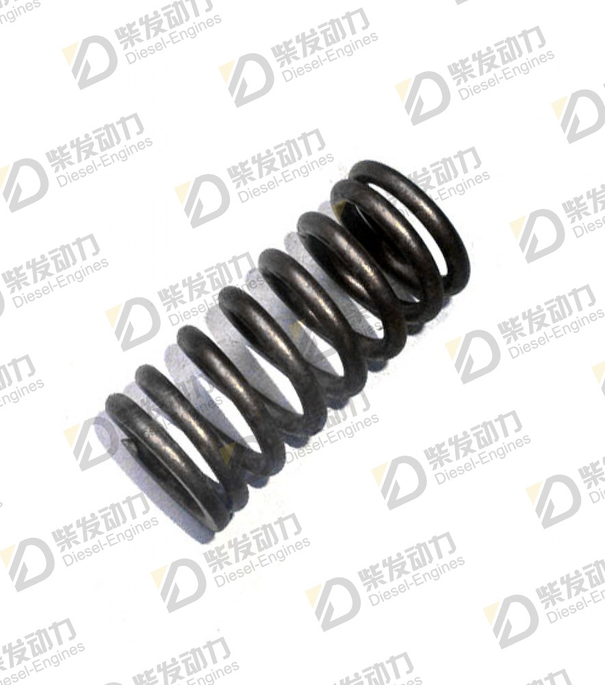 Valve spring