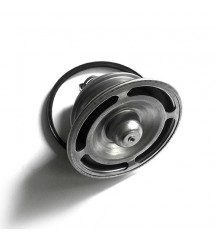 Thermostat 21412639