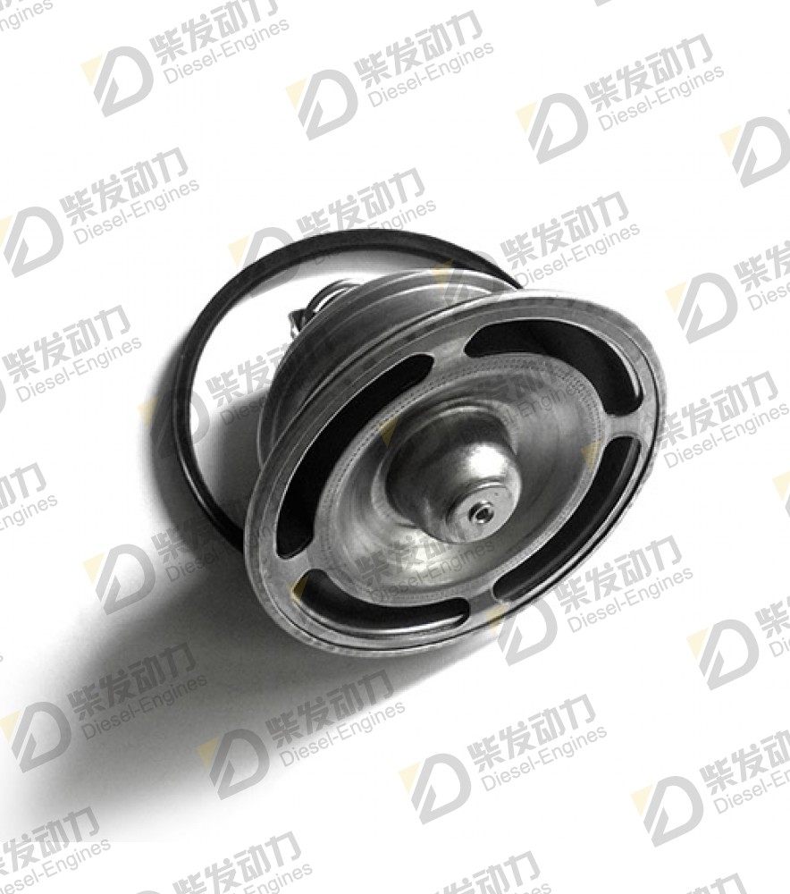 Thermostat 21412639 