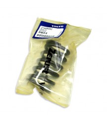 Valve spring 21448332