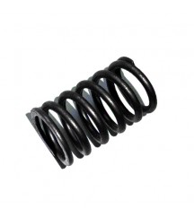 Valve spring 21448332