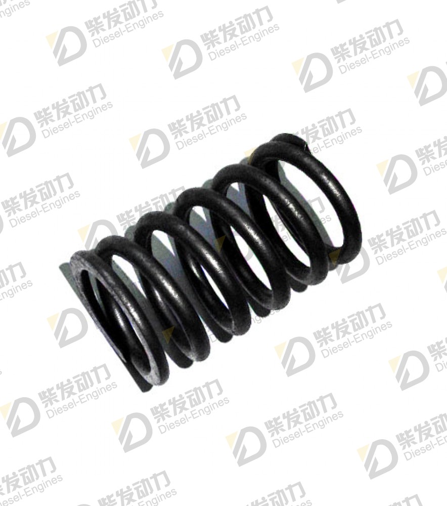 Valve spring 21448332 