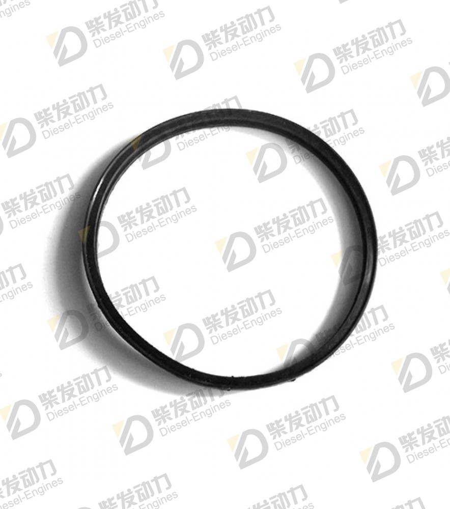 Sealing ring 21503575 