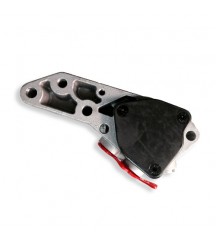Fuel pump 21620116