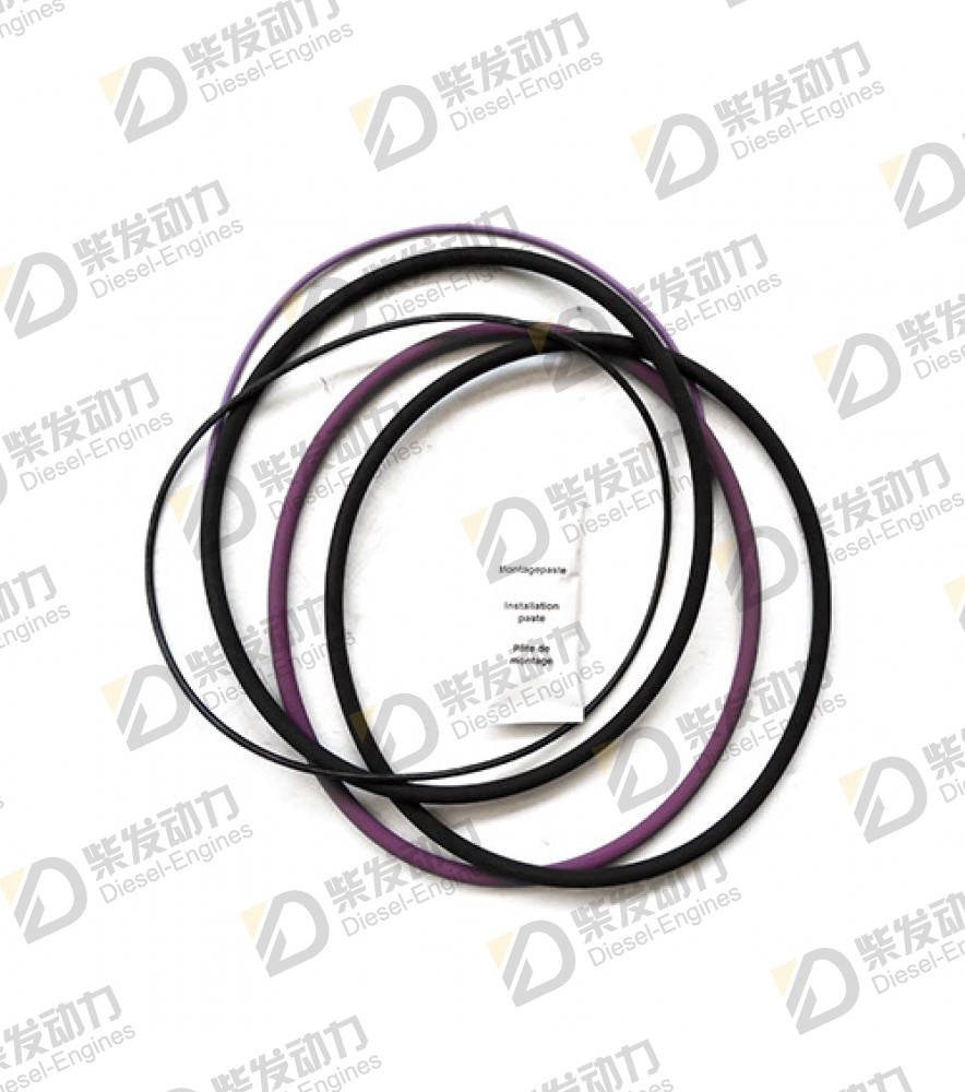 Sealing ring kit 270935 