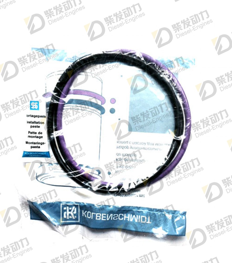 Sealing ring kit 271157 