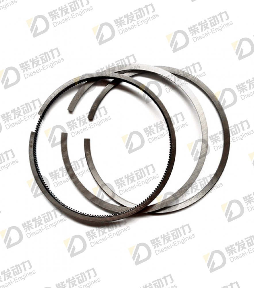 Piston ring kit 276037 