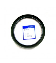 Sealing ring 3825169