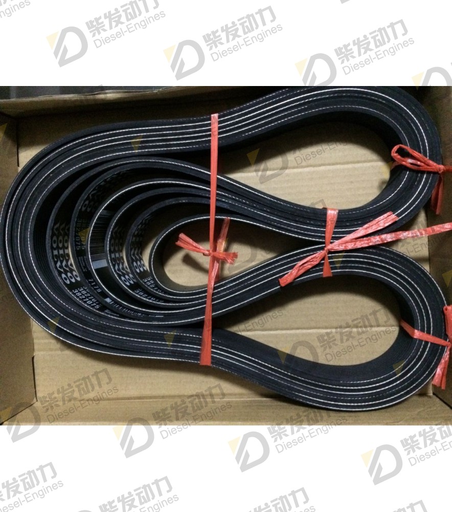 V-ribbed belt 3827075 