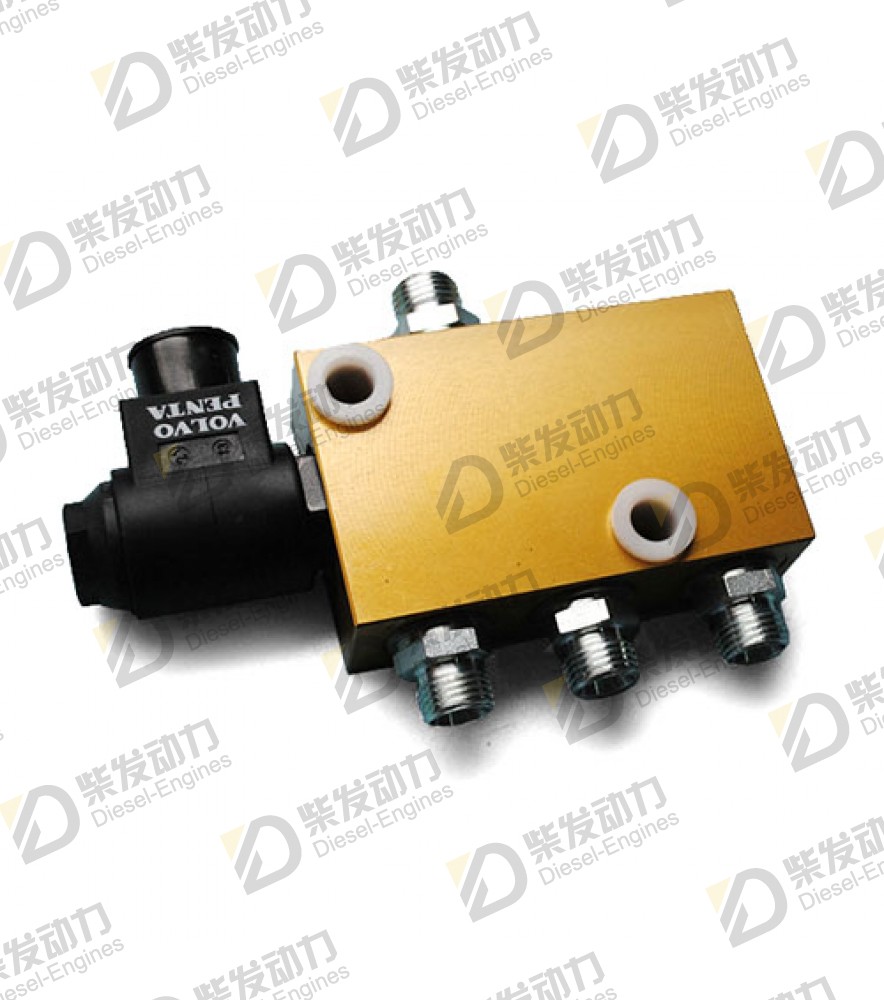 Fuel valve 3828983 