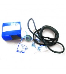 Gasket kit 3830718