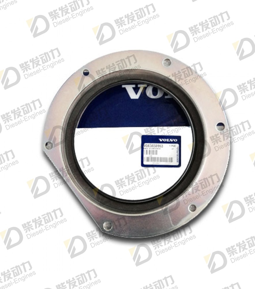Sealing ring 3832863 