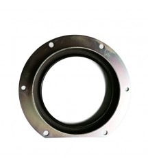 Sealing ring 3832863