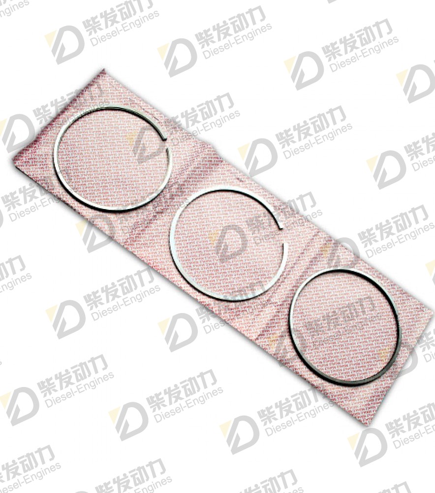 Piston ring kit 3837146 