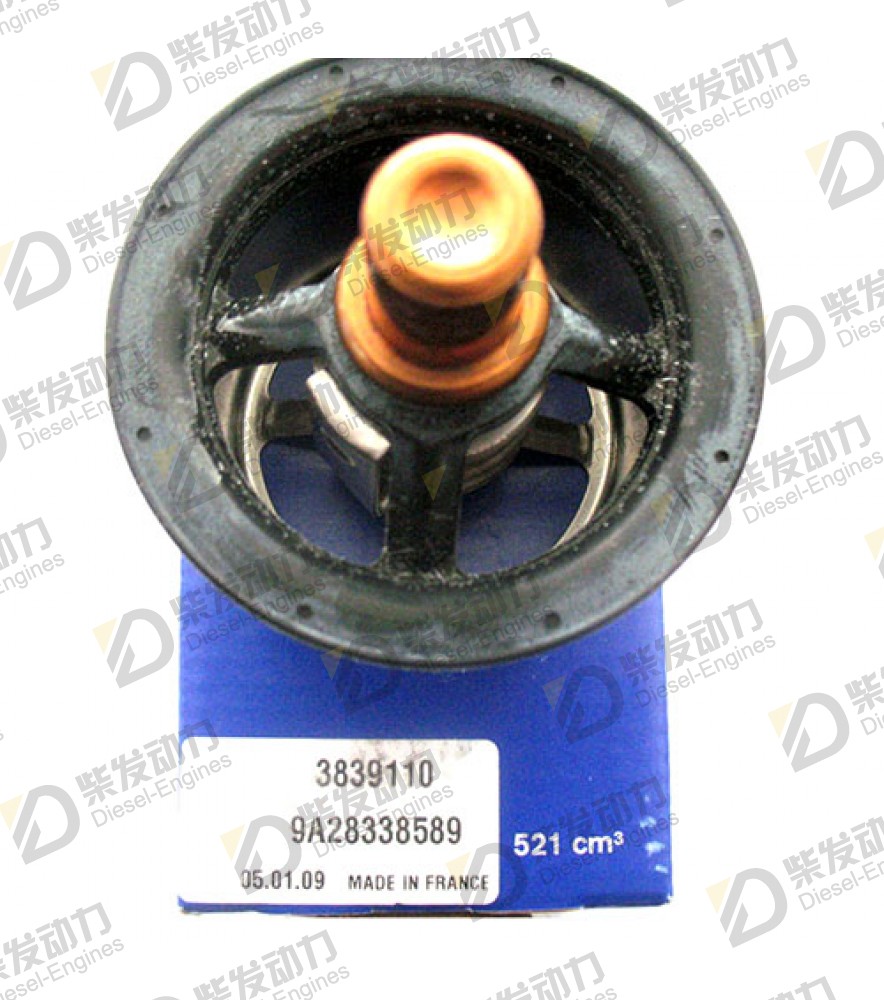 Thermostat 3839110 