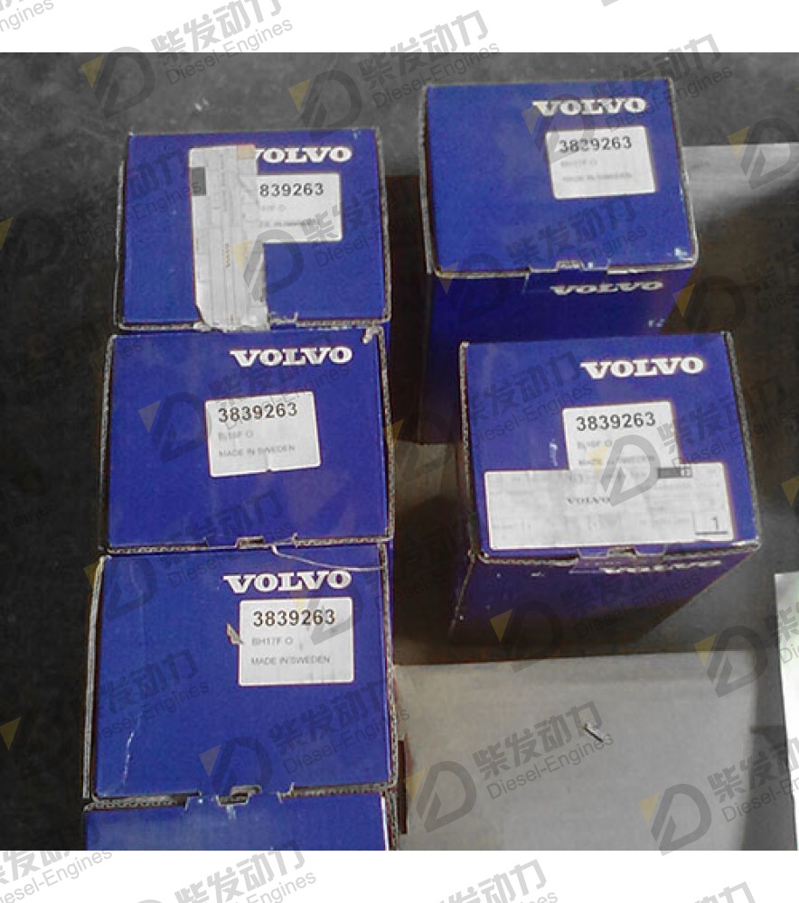 Cylinder liner kit 3839263 
