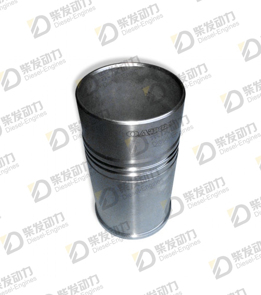 Cylinder liner kit 3842448 