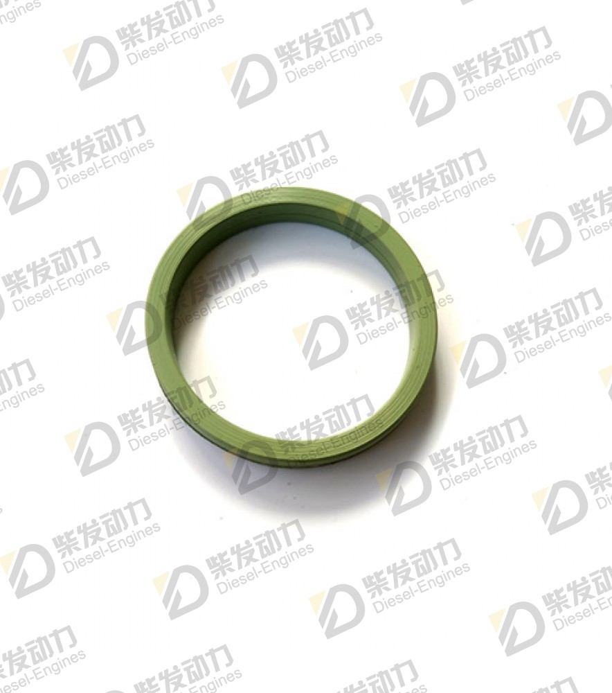 Sealing ring 21780371 