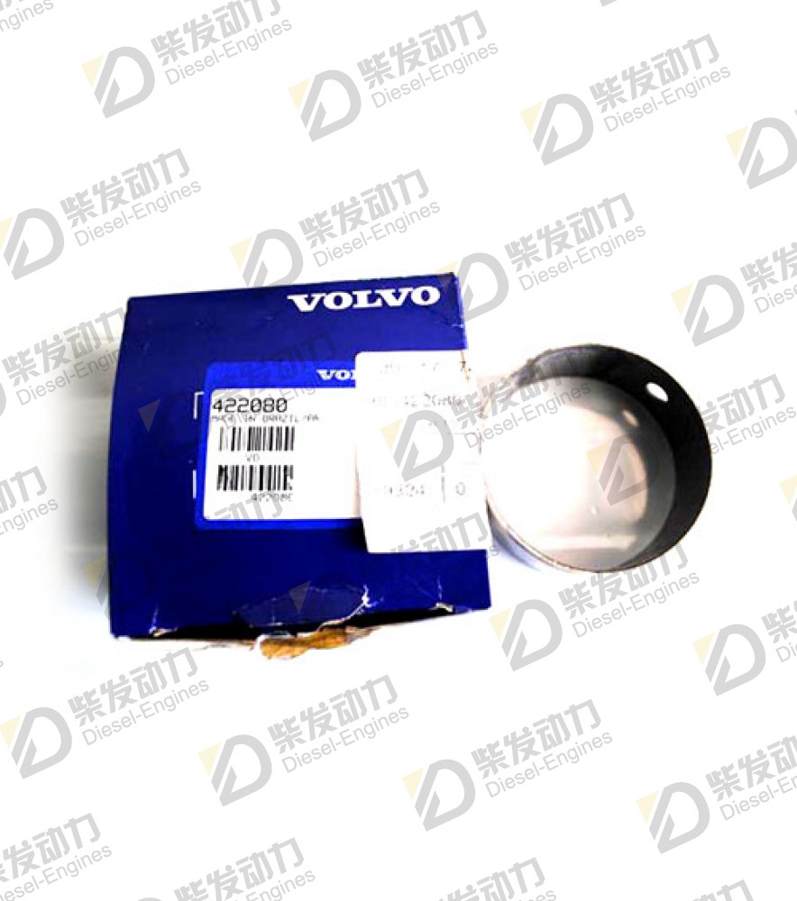 Bushing 422080 