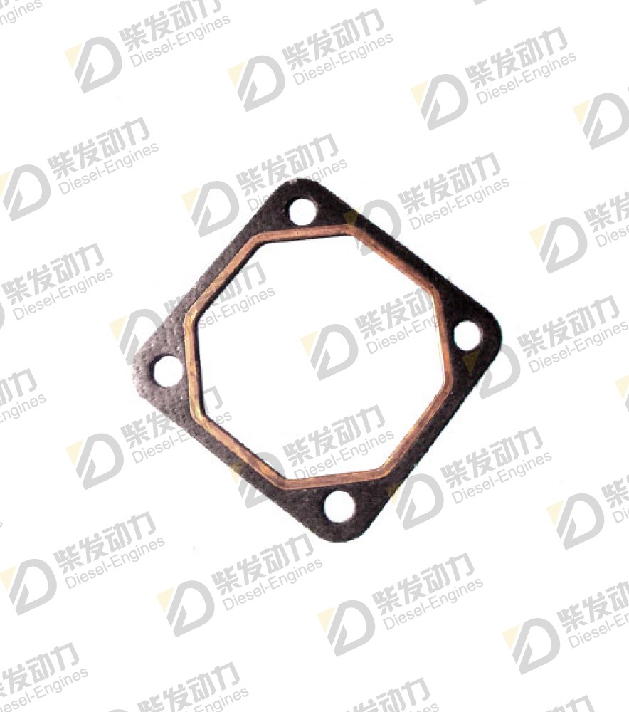 Gasket 424619 