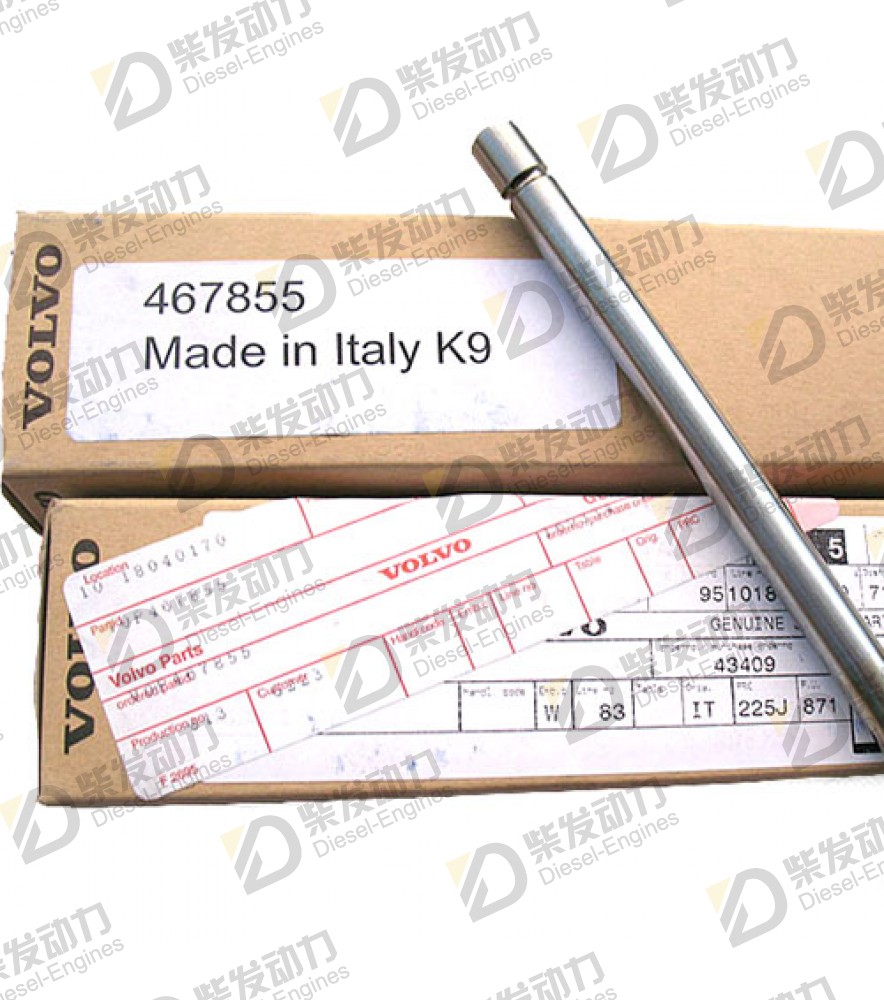 Exhaust valve, exhaust 467855 