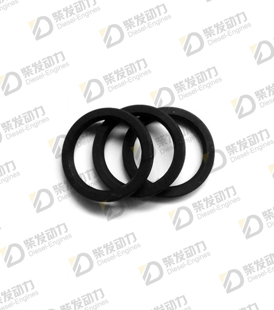 Sealing ring