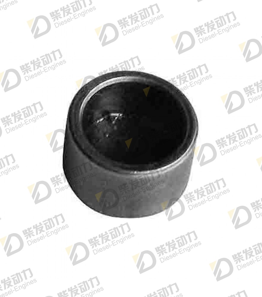 Valve cap 478074 