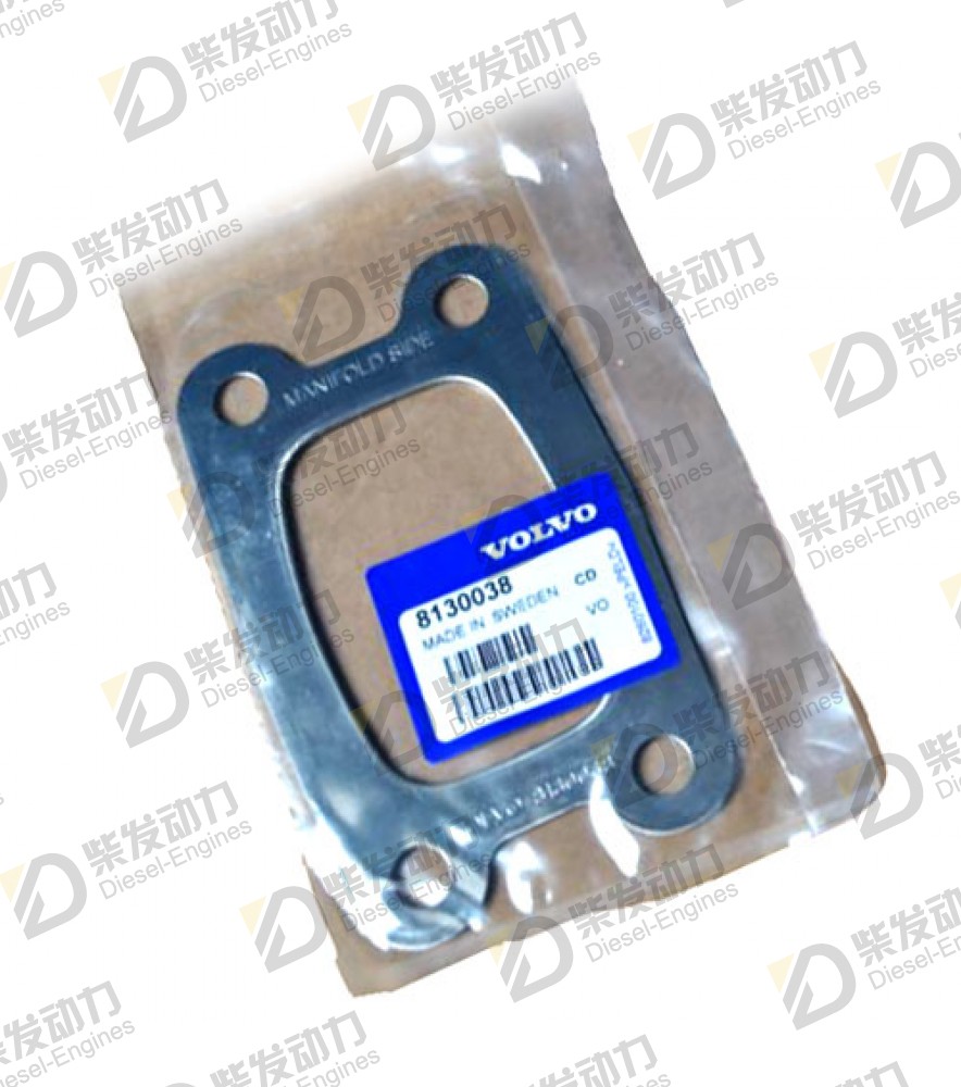 Gasket 8130038 