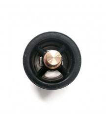 Thermostat 8149182
