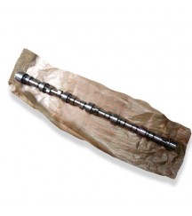 Camshaft 8194480