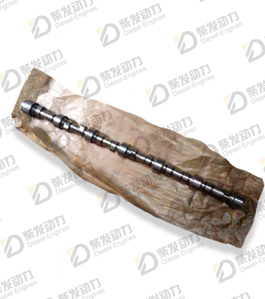 Camshaft 8194480 