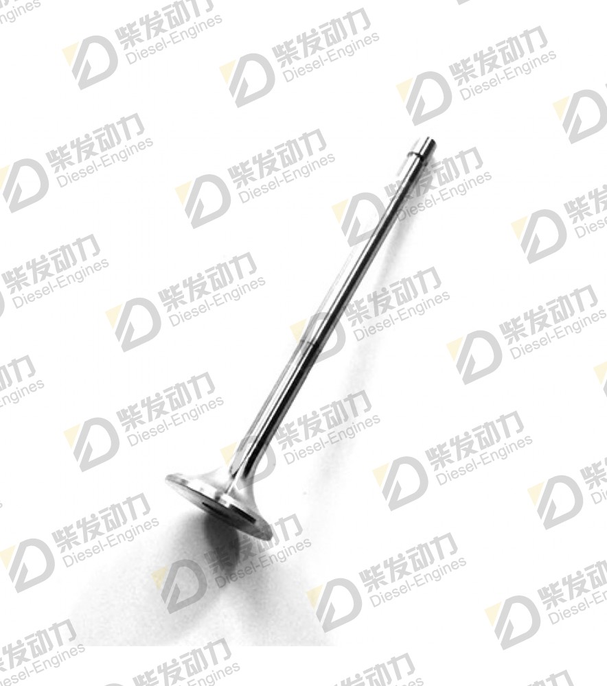 Exhaust valve