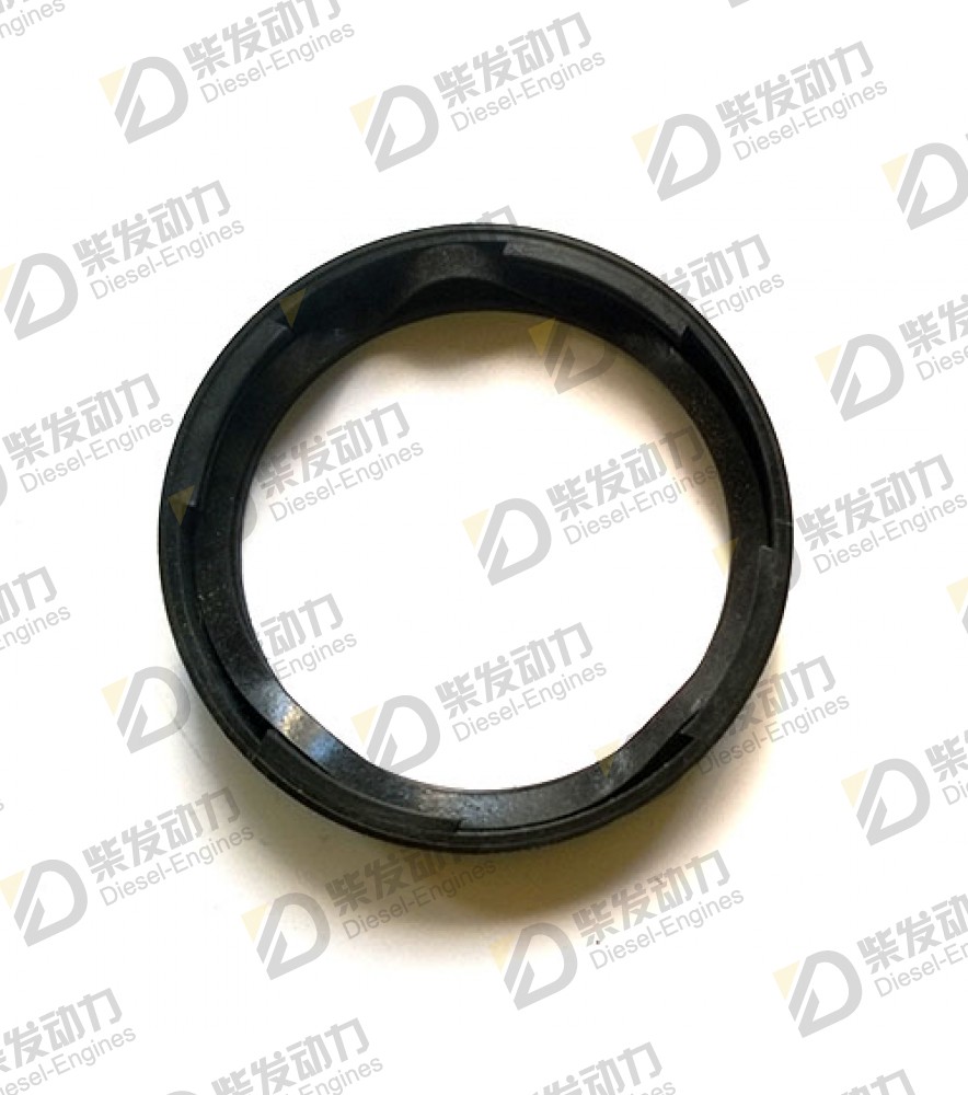 Ring 873683 