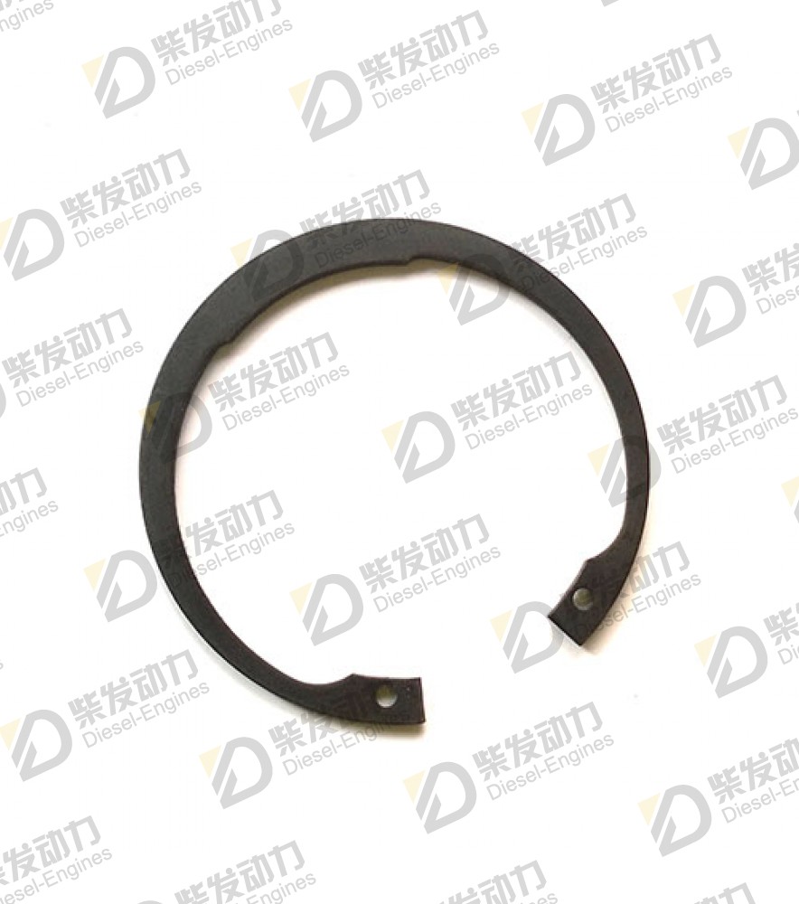 Snap ring 914531 