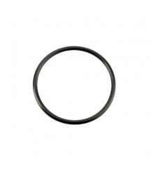 O-ring 925069