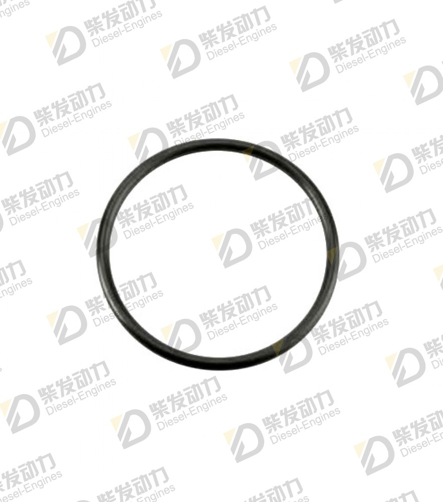 O-ring 925069 