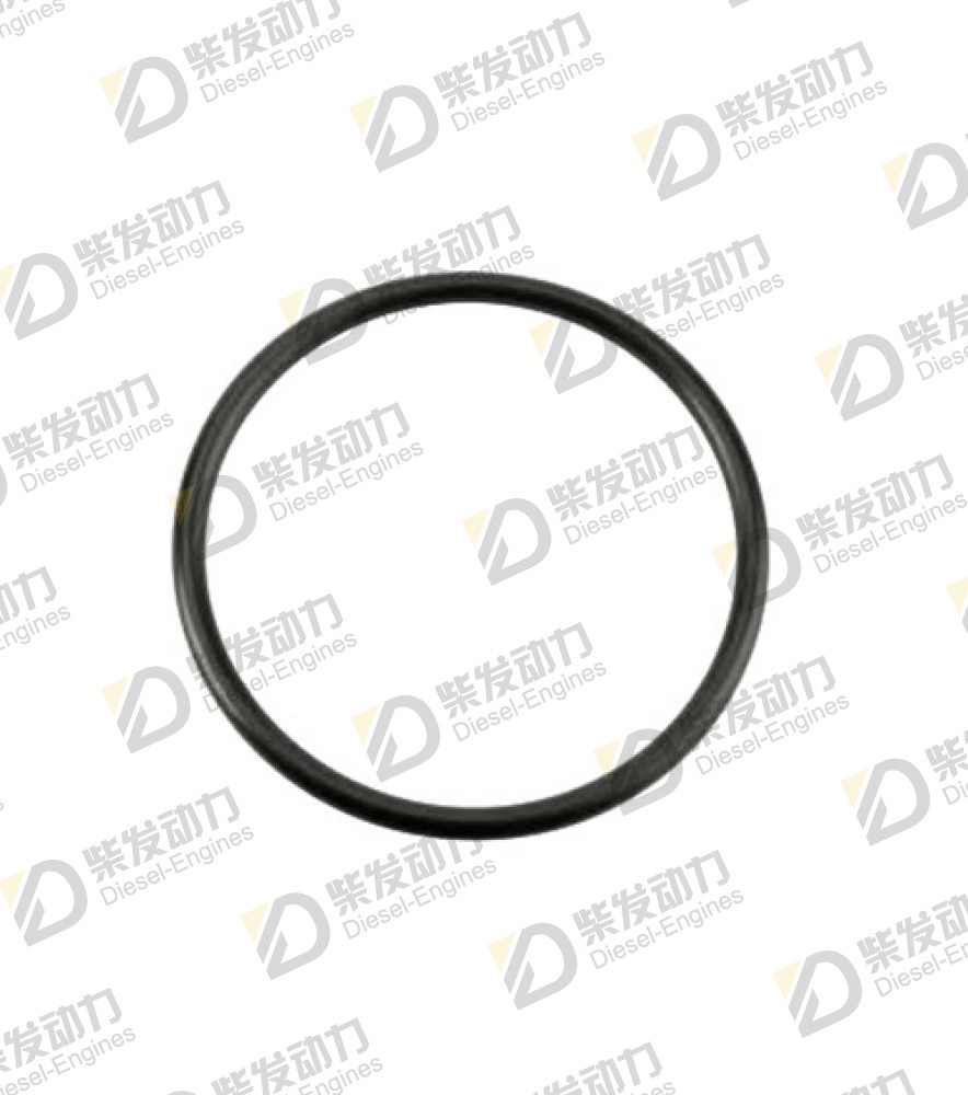 O-ring