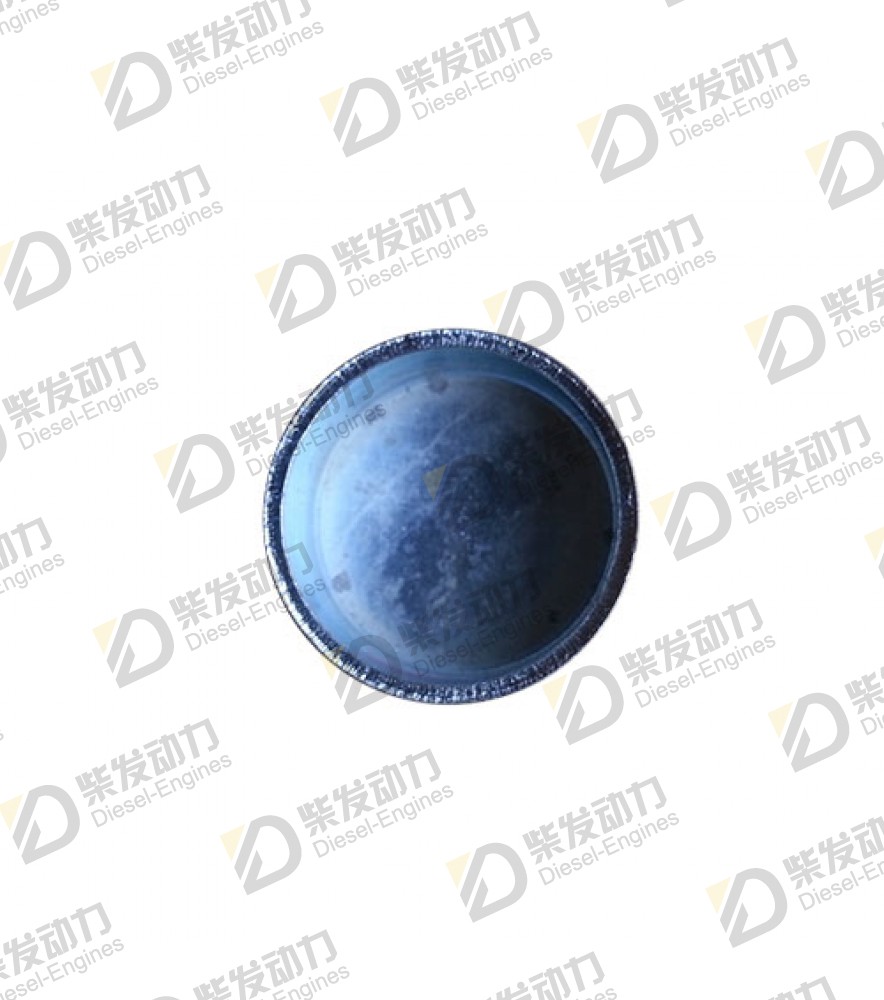 Cap plug 948812 