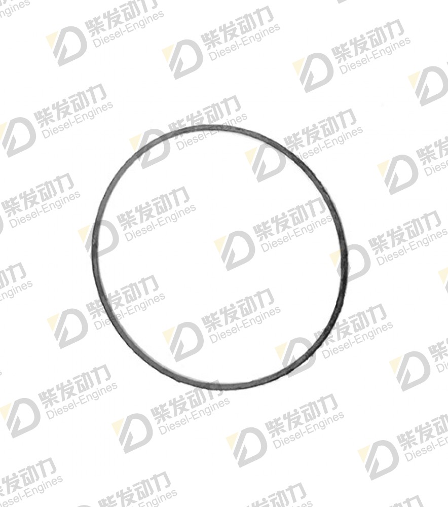 O-ring 948888 