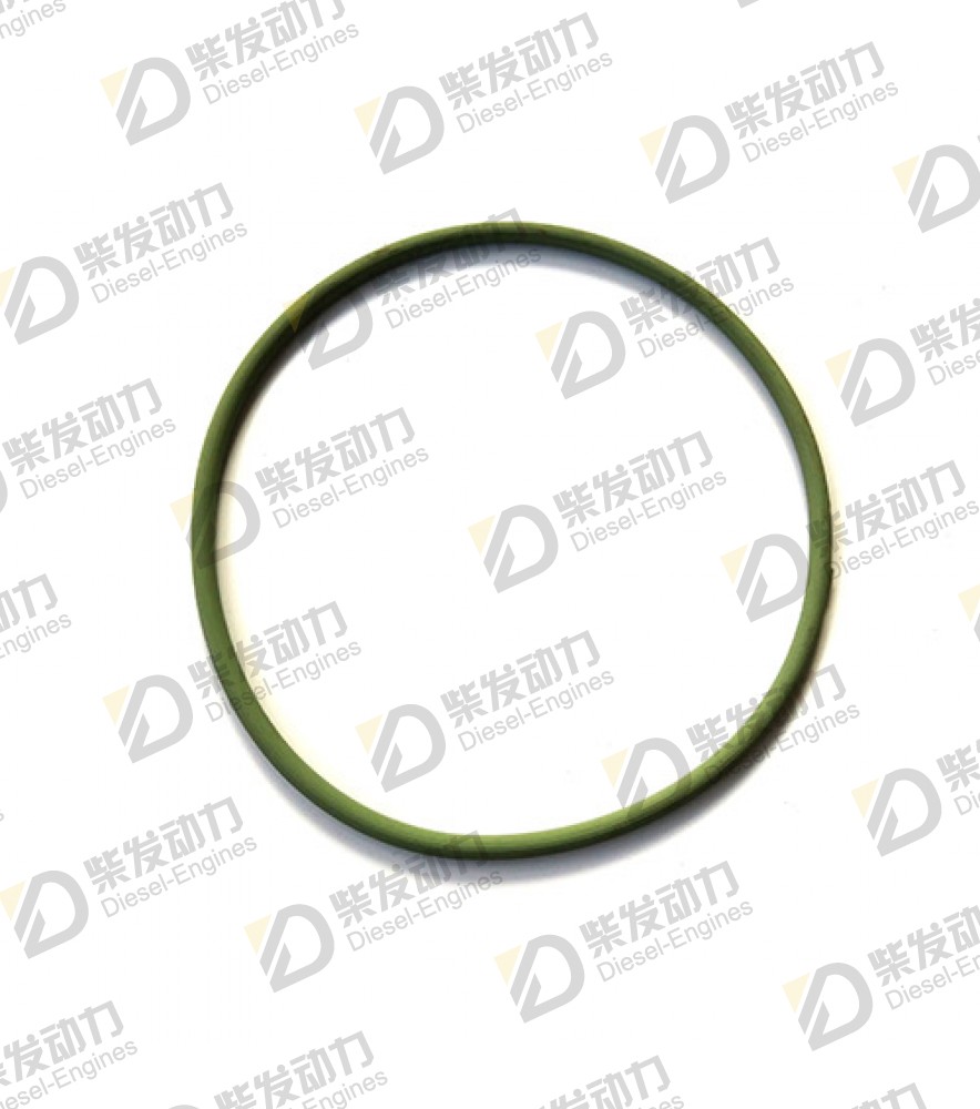O-ring 948981 