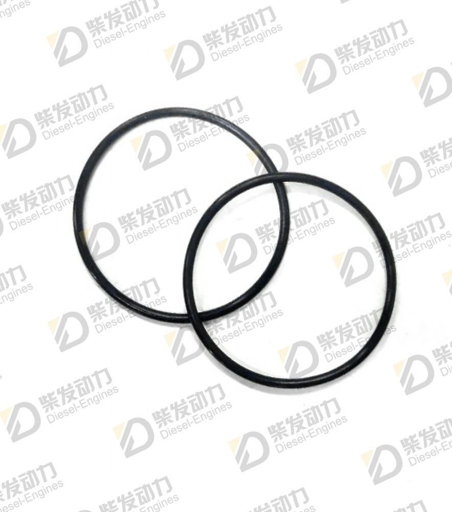 O-ring 975674 