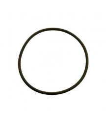 O-ring 975675