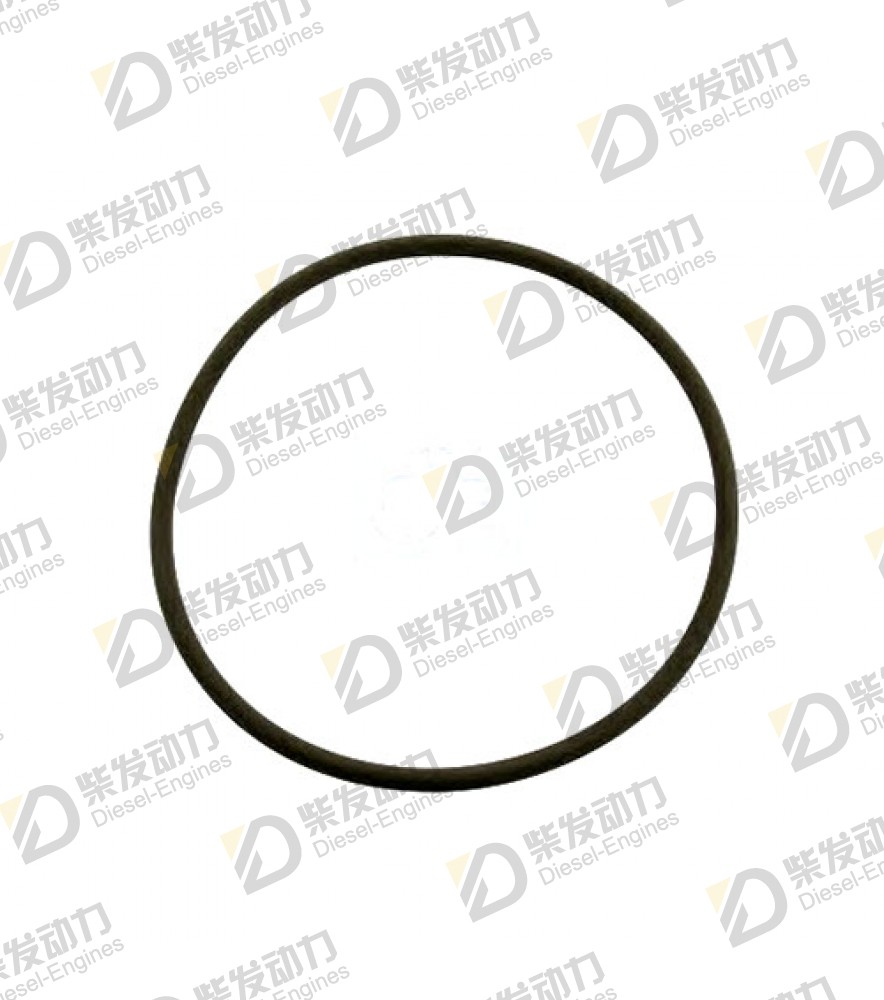 O-ring 975675 