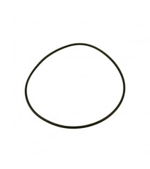 O-ring 975687