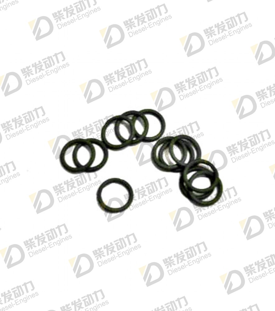 O-ring