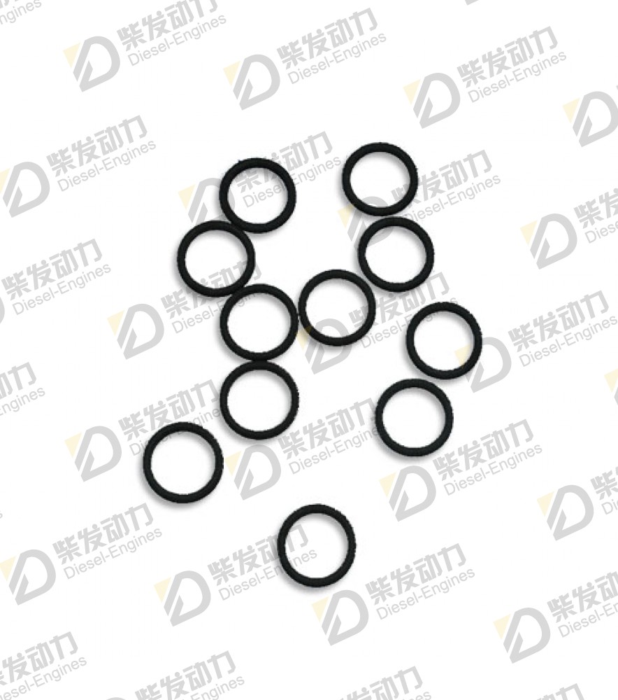 O-ring