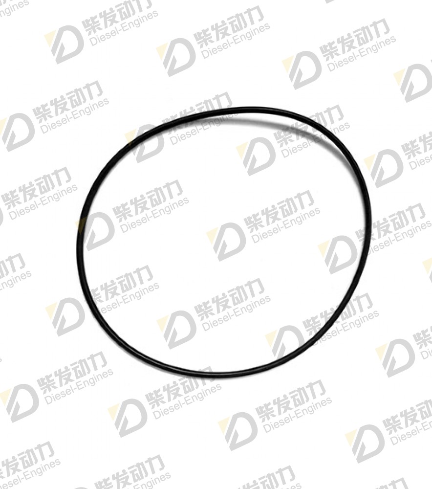 O-ring 977030 