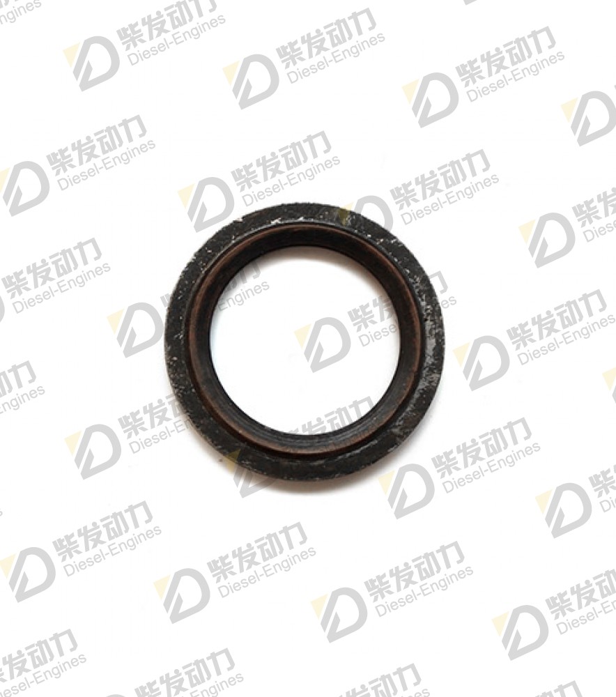 Gasket 979099 